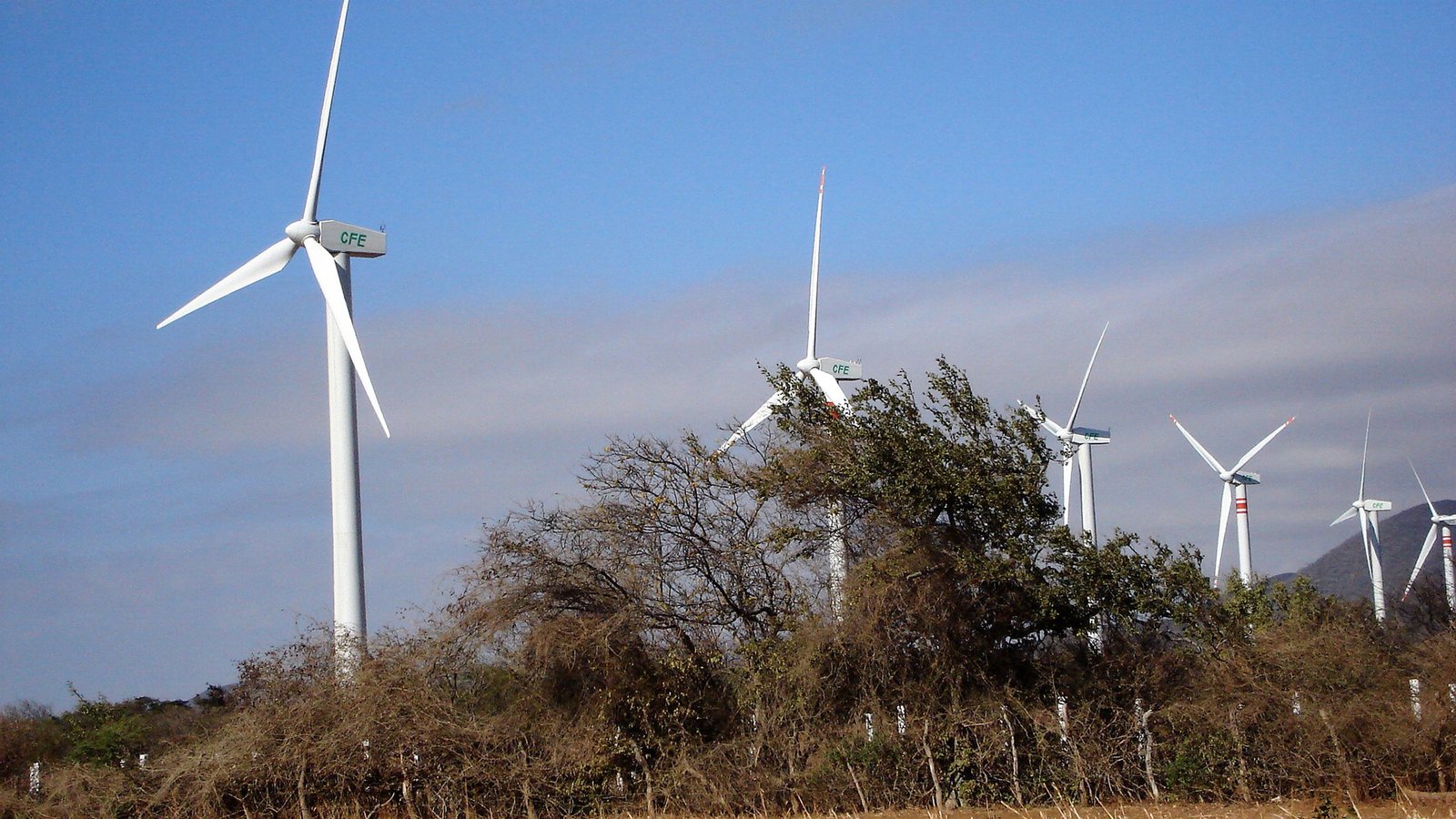 ¿El viento solución energética?-image2 ¿El viento solución energética?-image2